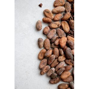 The global cocoa bean crisis 