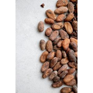 The global cocoa bean crisis 