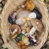 Продуктовий кошик - Листопад